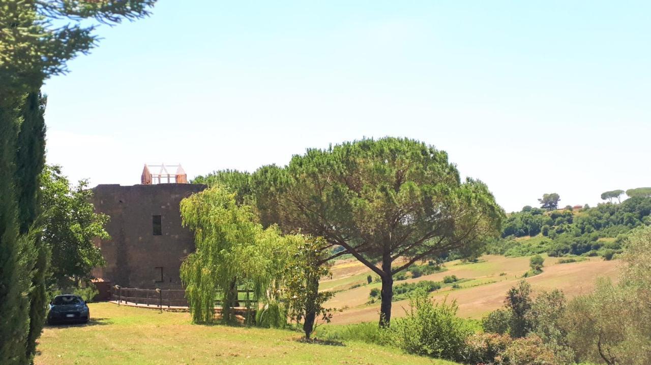 Villa Country House La Torre Tuscania Exterior foto