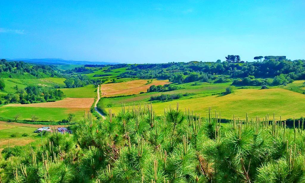 Villa Country House La Torre Tuscania Zimmer foto